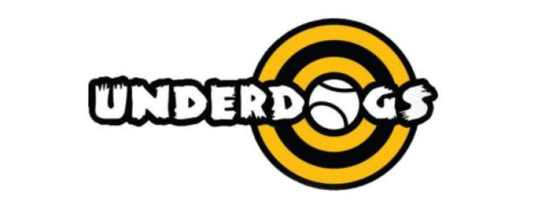 Calling all Kilkenny hurlers! TG4's Underdogs series looking for players
