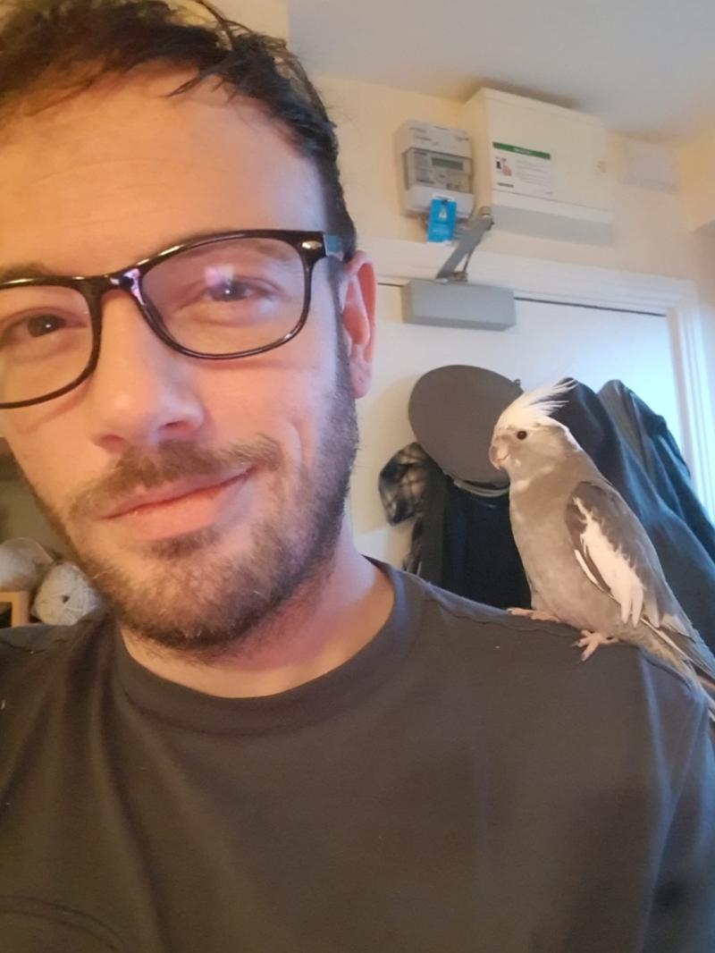 Missing: Owner makes plea for public to keep an eye out for cockatiel in Kilkenny City