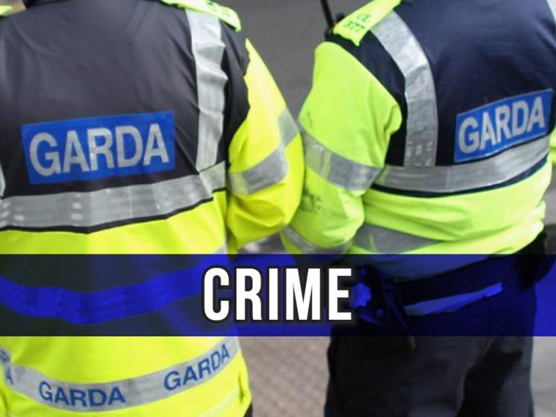 Kilkenny gardaí warn public to be vigiliant following thefts from cars