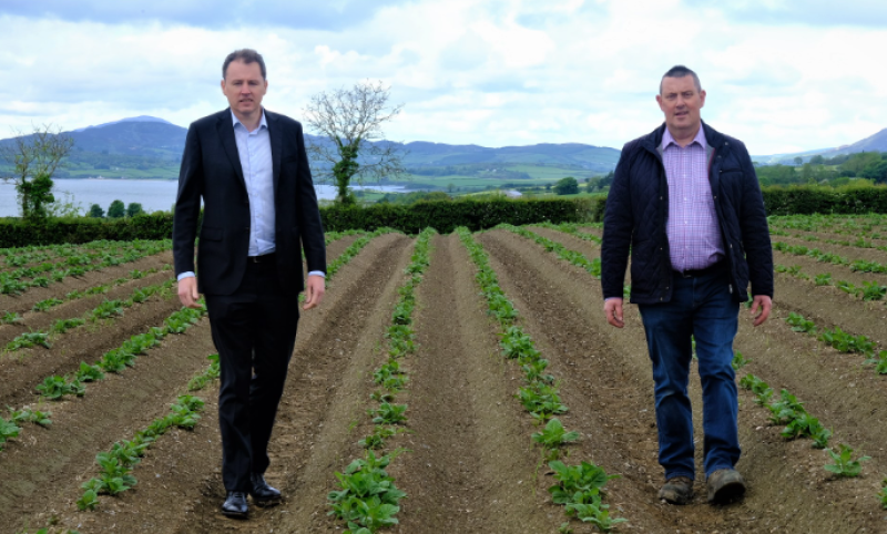€3m investment will restore Ireland's seed potato sector to its 'heyday' - McConalogue