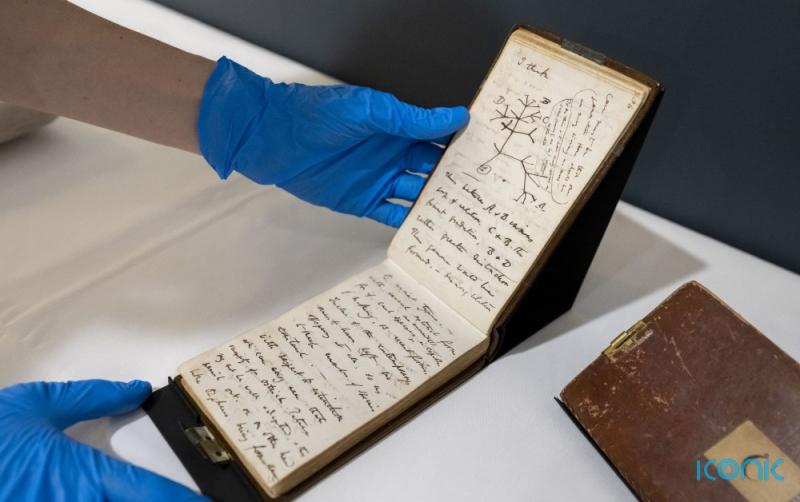 'Direct connection with the past' - Charles Darwin notebooks thought to be missing to go on display