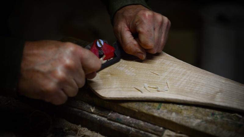 Ash dieback is a real threat to Ireland and hurling