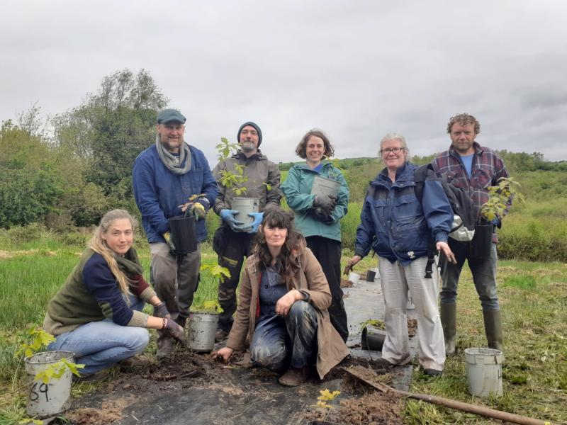 The Acorn Project 