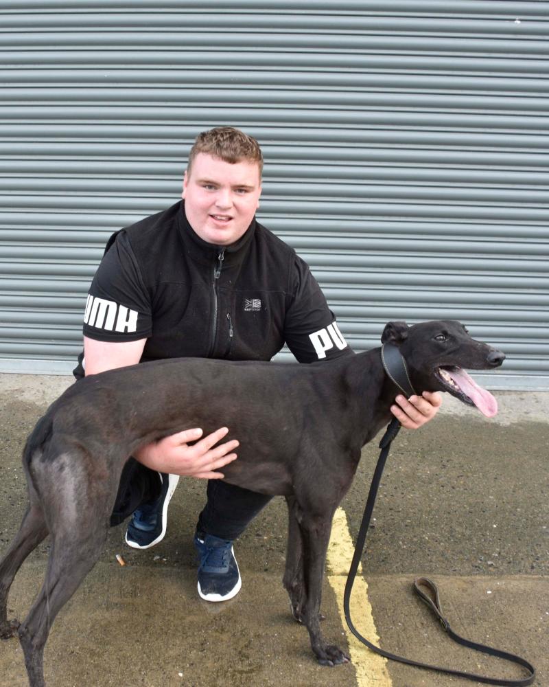 Kilkenny trainer books his spot in the final six for the BoyleSports Irish Greyhound Derby 