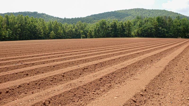 World ploughing contest due to be hosted by Russia will instead take place in Ireland