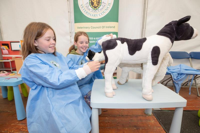 Kilkenny twins get to grips with the work of a vet!