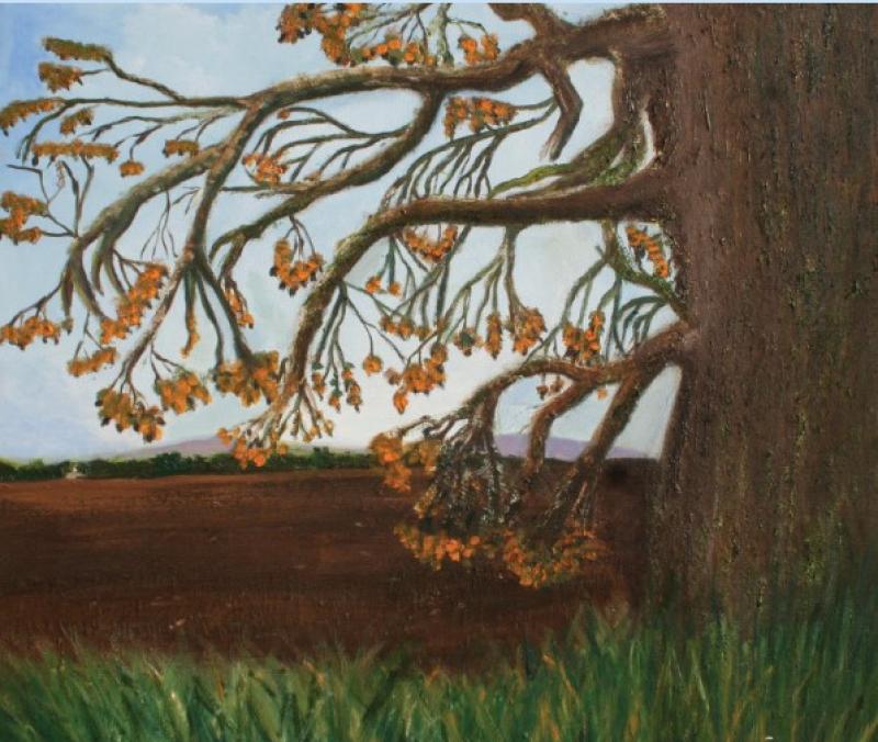 Celebrating two decades of work by Eileen Mulrooney in Callan