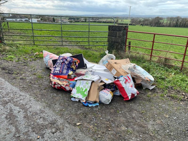 Mayor highlights fresh dumping incident in Kilkenny