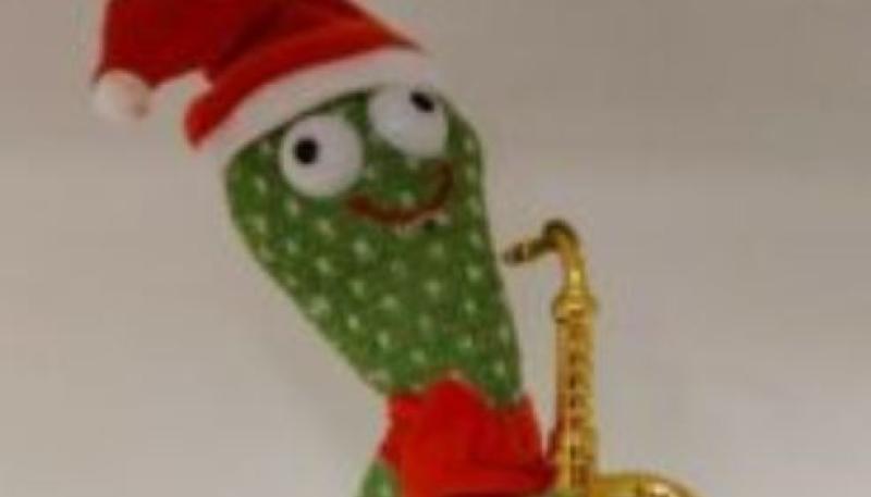 ALERT: Dancing cactus toy poses potential choking hazard