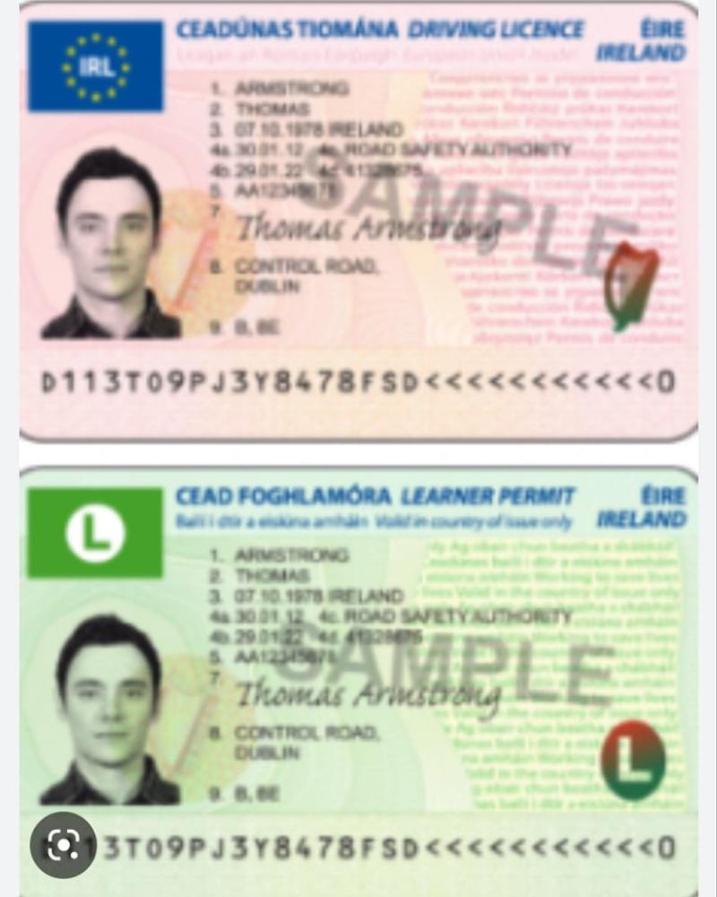 Gardaí warn people in Kilkenny about using fake licences 