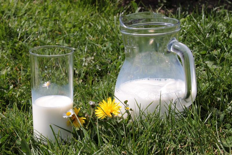 Milk