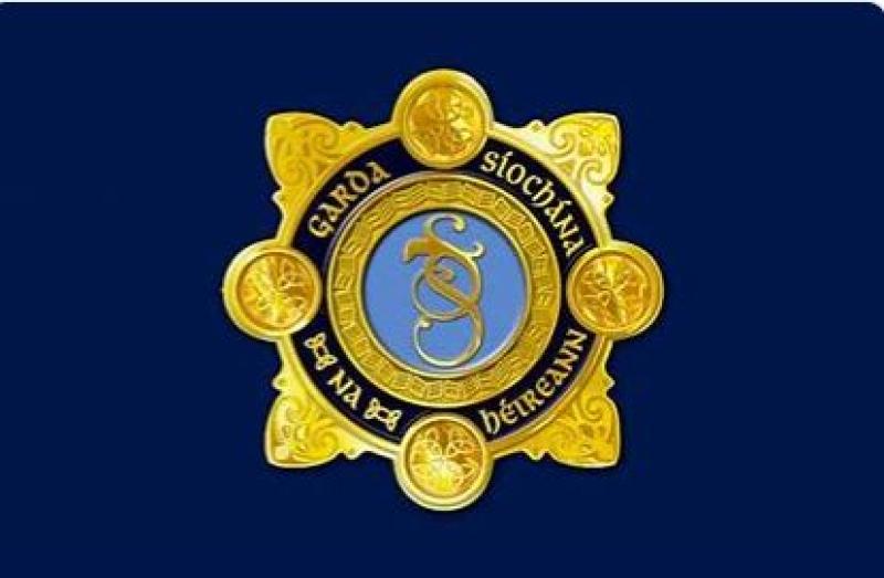 'Uninvited guests' make Co Kilkenny garda station their new home 