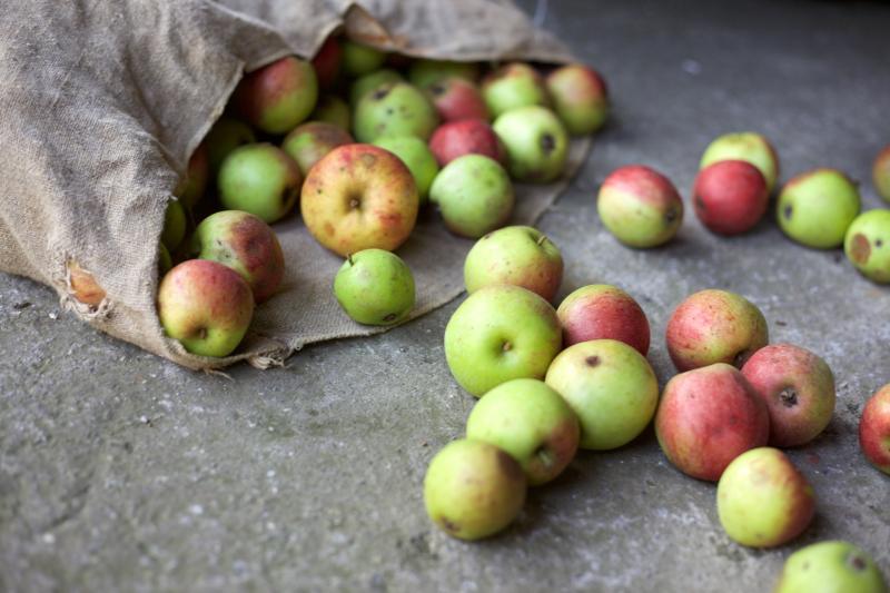 Opinion: Perfectly edible good food at a fraction of its  price available in Kilkenny