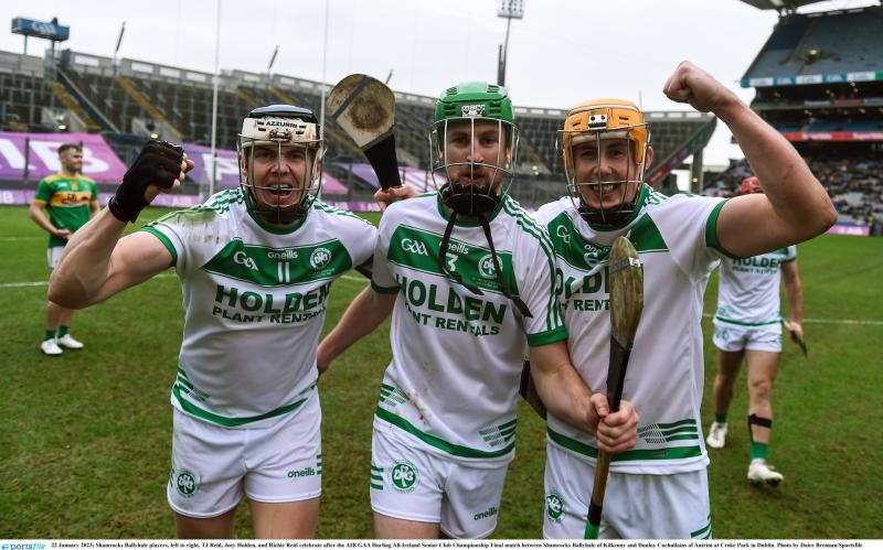Shamrocks players dominate the selection on the AIB GAA Club Hurling Team of the Year