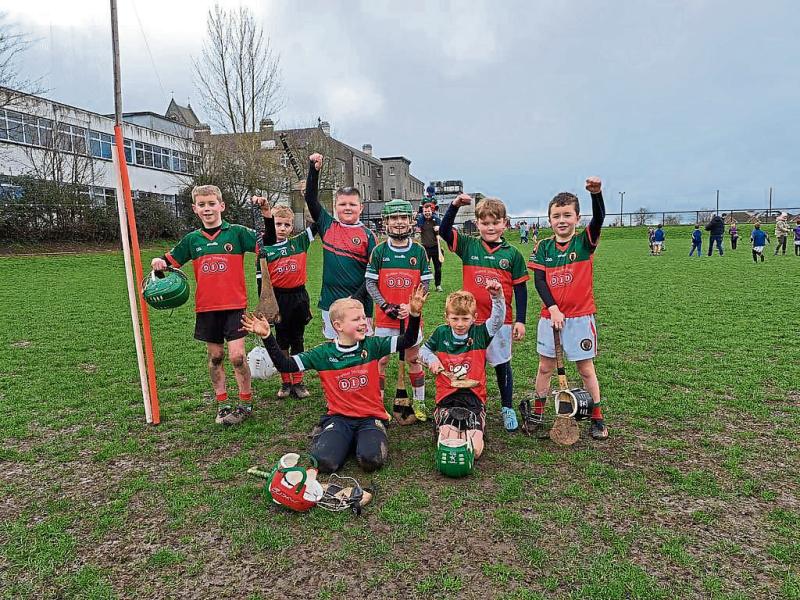 Young Kilkenny starlets served up a hurling feast!