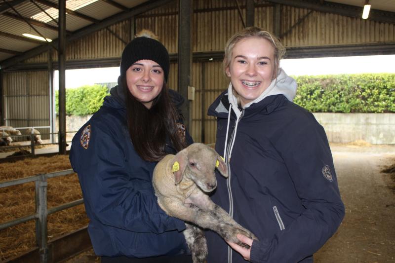 Ag Science students get a taste of Kilkenny farm life at Kildalton