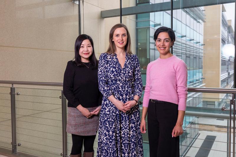 Accountancy apprenticeship programme to create 150 jobs in Ireland this year