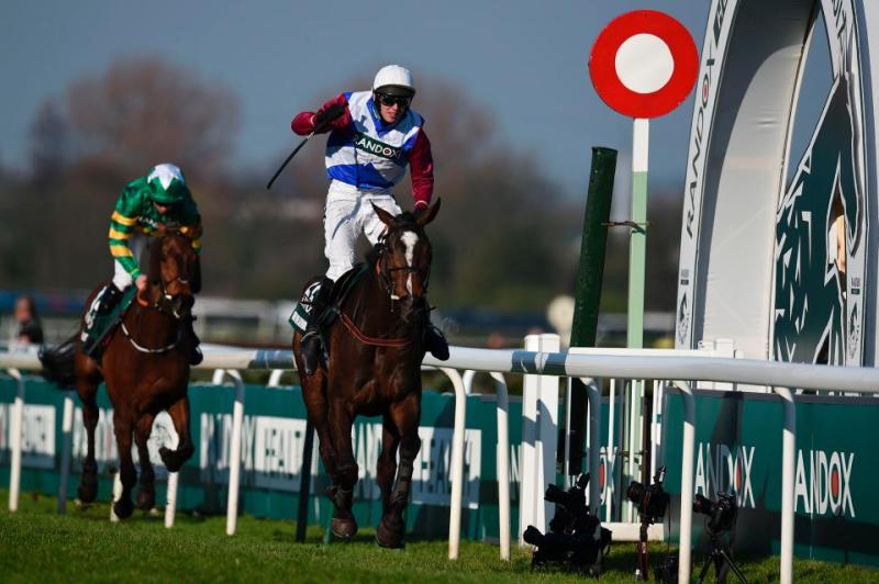 Kilkenny horse breeder saddened by passing of Grand National winner