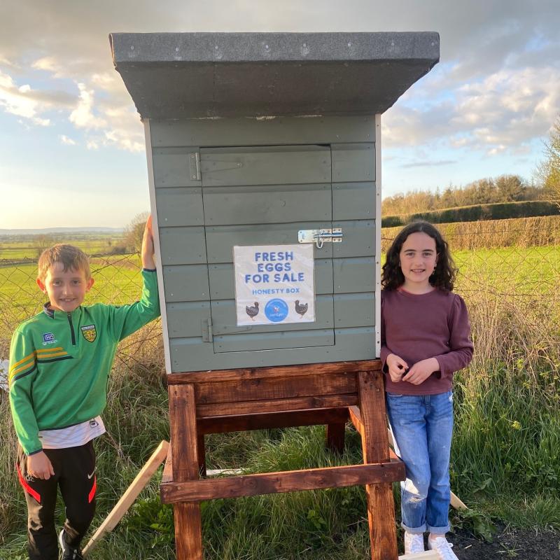 Charitable children near Kilkenny border reopen Egg Honesty Box