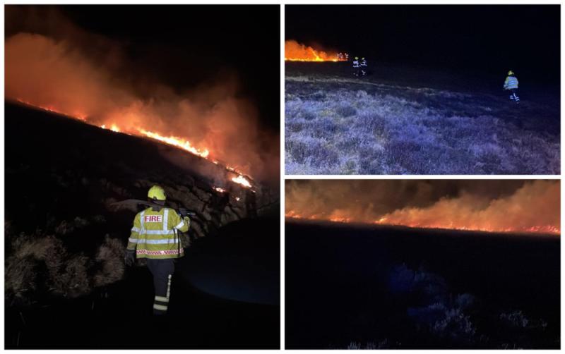 Firefighters contain fires after forestry plantations near Mount Leinster set alight