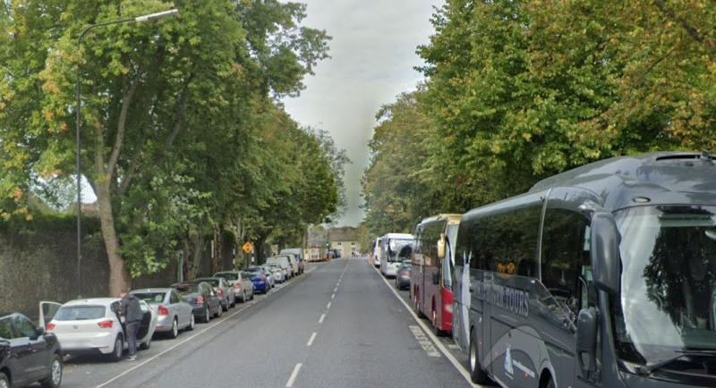 Kilkenny councillor welcomes new bill to protect urban trees and nature sites