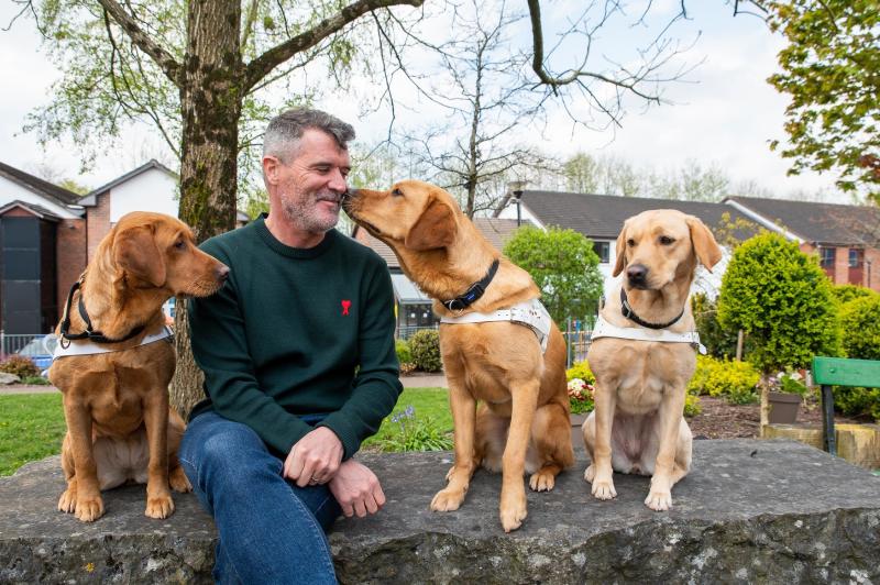 Get walking in Kilkenny and raise funds for The Irish Guide Dogs