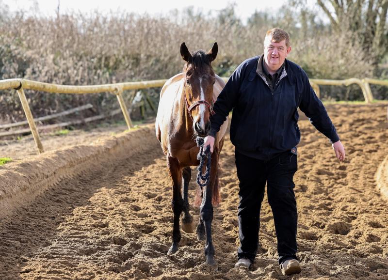WATCH:  Shark Hanlon and Hewick arrive in France ahead of French Champion Hurdle
