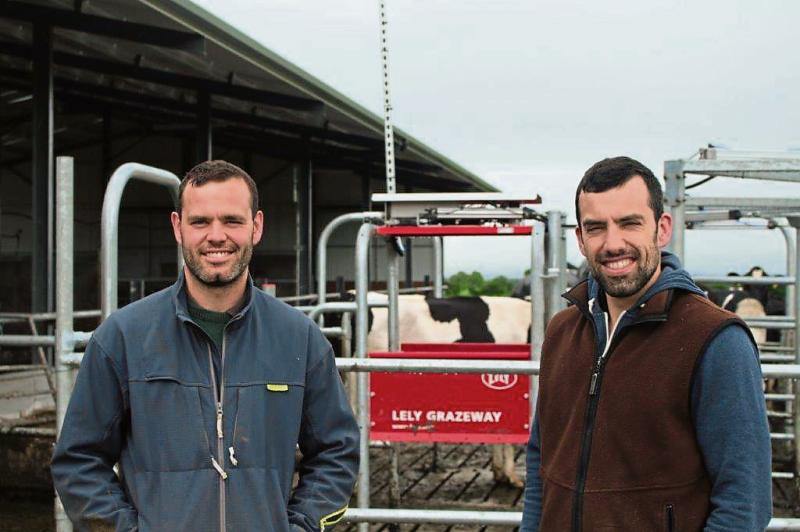 Philip and his brother Robbie Walsh, who farm at Danesfort