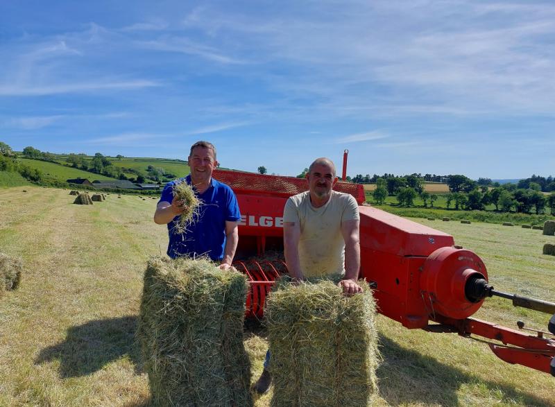 Sunshine and haymaking on Kilkenny farms this week