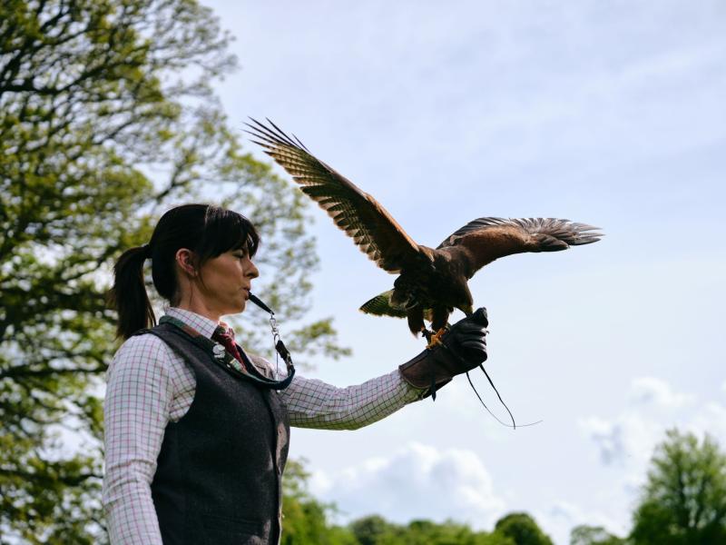 Treat your Dad to a very special experience at the Lyrath Estate Hotel in Kilkenny