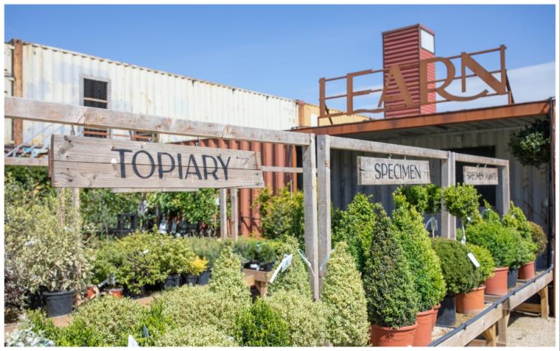 Family fun, fur and food: SOLAS weekend extravaganza!