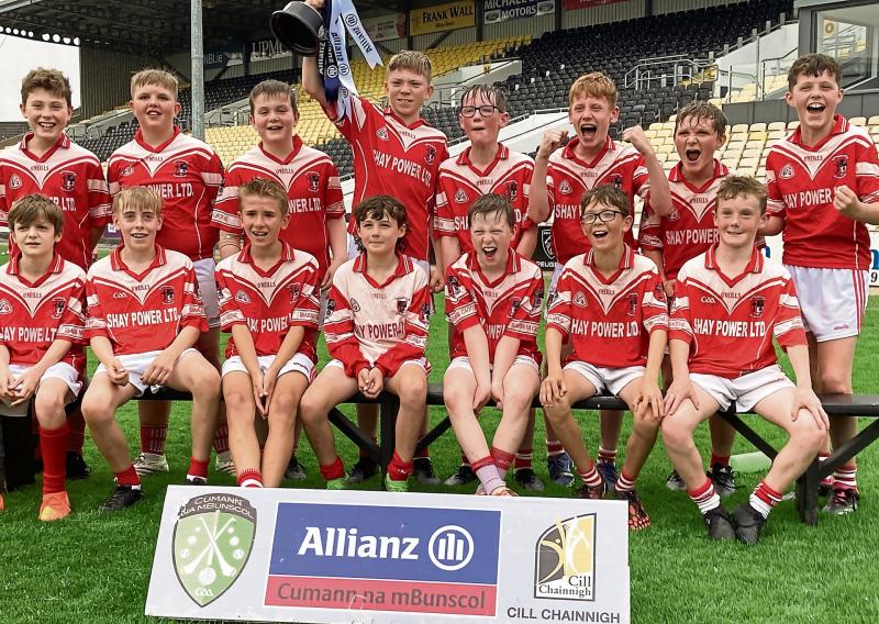 Young champs return as heroes to Windgap after great display in UMPC Nowlan Park, Kilkenny