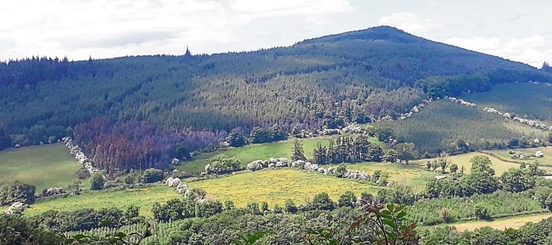 Have you ever visited this hidden gem in Kilkenny?