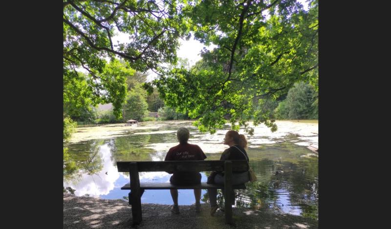 Observing from afar at Bench Tales in the Castle Park in Kilkenny