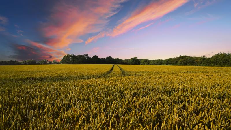 Nature Restoration Law