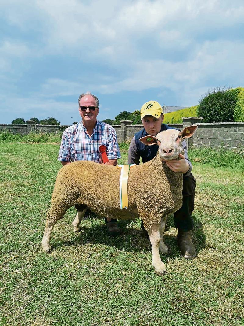Kilkenny ram is winning all before him