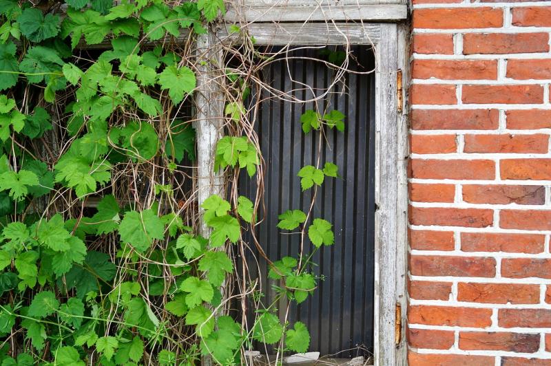 Vacant properties 