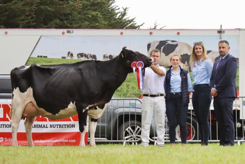 Clonmel Show 
