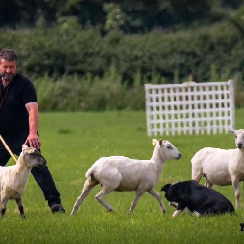 Locals countdown to prestigious national event in Kilkenny town 