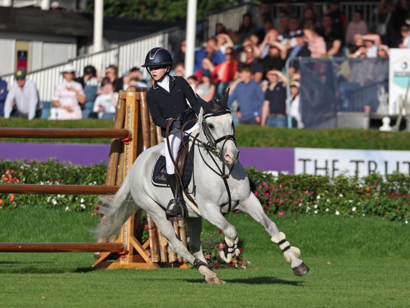Massive Kilkenny interest at the Dublin Horse Show