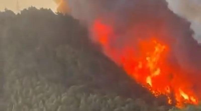 Villages evacuated following wildfire in the Canary Islands