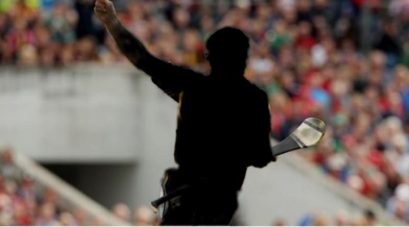Specators stunned as hurling royalty togs out for Junior match in Kilkenny