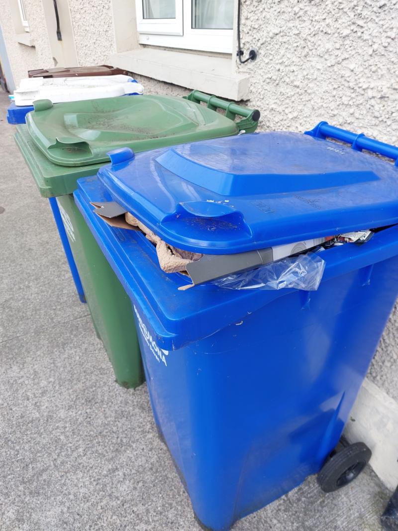 Bin company announces Kilkenny collection delay due to death Kilkenny