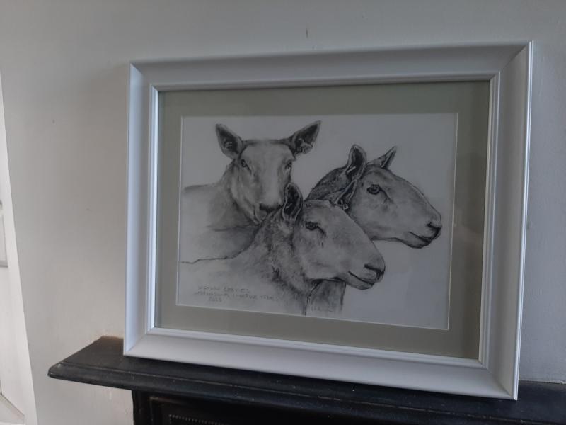 Kilkenny artist will raffle artwork to support Sheepdog Trials