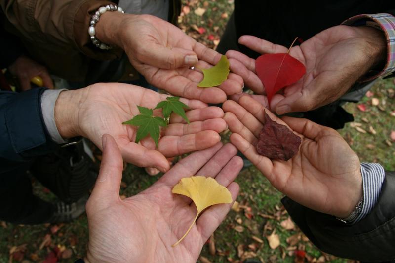Dozens of Irish NGOs receive over €1 million funding for anti-racism projects