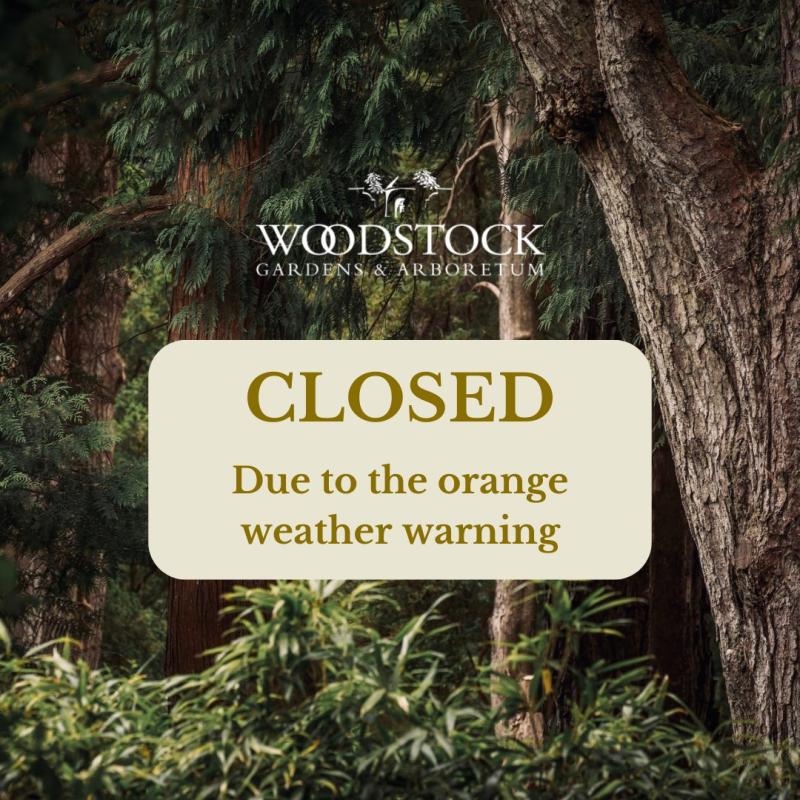 Woodstock Gardens closes to the public as Storm Agnes hits Kilkenny 