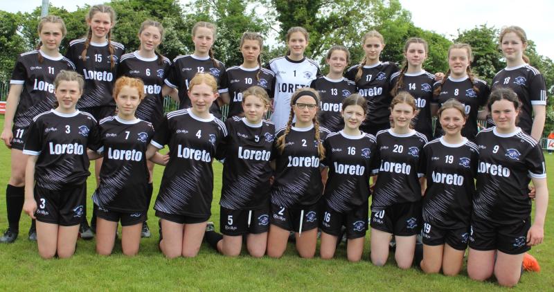  Athenry and  Kilkenny fly flag for Republic of Ireland in Houston Cup