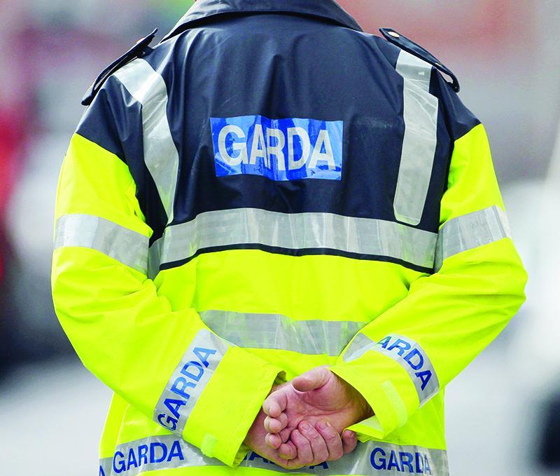 Concerning motor theft data revealed in Kilkenny and Carlow