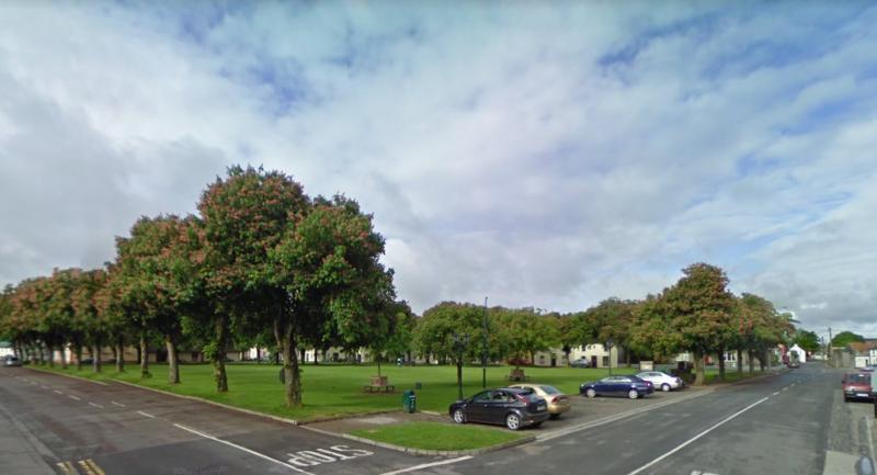 Kilkenny village to benefit from newly adopted Mobility Management Plan