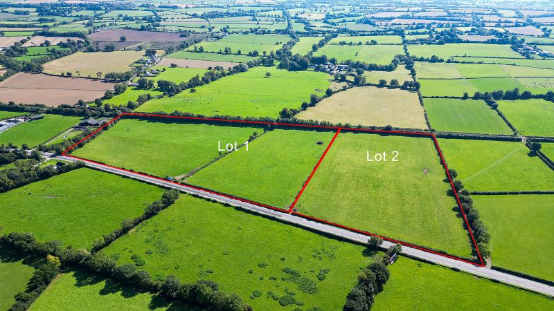 Record price of €30,000 per acre for lands in Paulstown